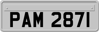 PAM2871