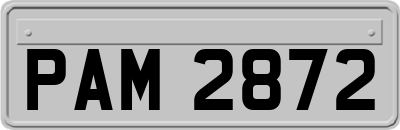PAM2872