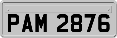 PAM2876