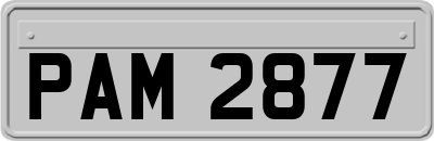 PAM2877