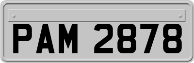 PAM2878