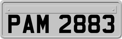 PAM2883