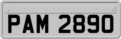 PAM2890