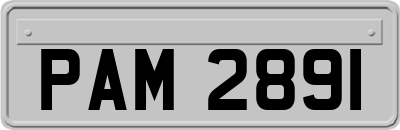PAM2891