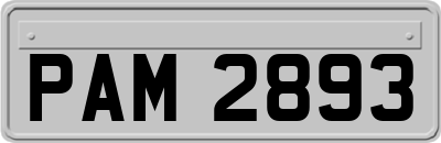 PAM2893