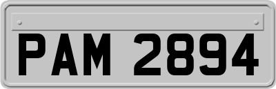 PAM2894