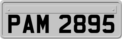 PAM2895