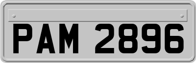 PAM2896