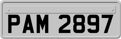 PAM2897