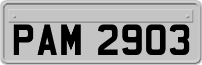 PAM2903
