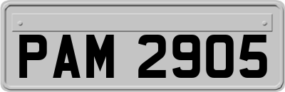 PAM2905
