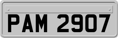 PAM2907