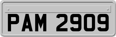 PAM2909