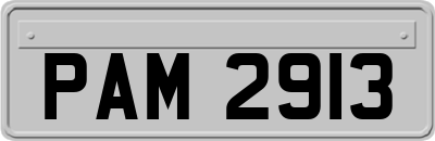 PAM2913