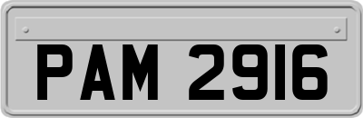 PAM2916