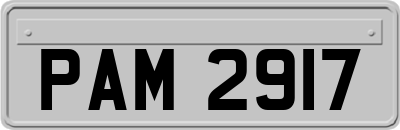PAM2917