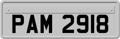 PAM2918