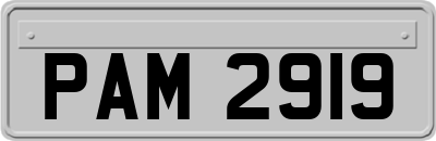 PAM2919