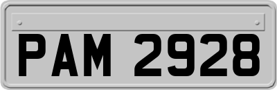 PAM2928