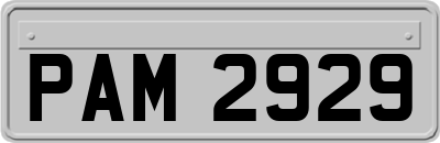 PAM2929