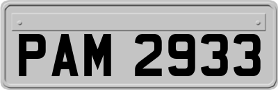 PAM2933