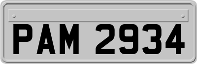 PAM2934
