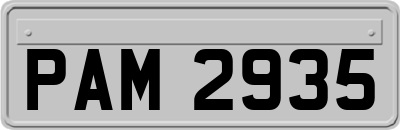 PAM2935