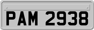 PAM2938