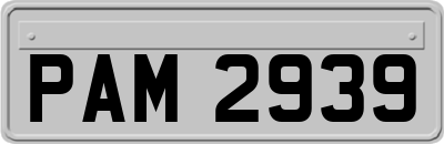 PAM2939