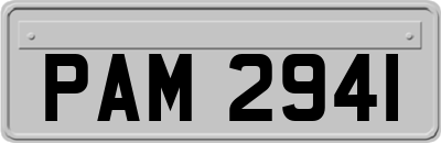 PAM2941