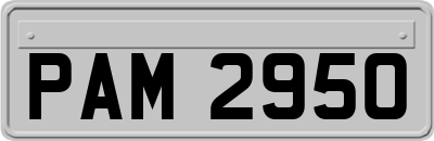 PAM2950