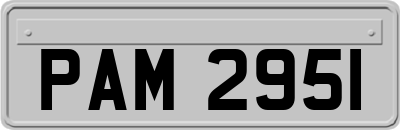 PAM2951