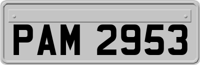 PAM2953