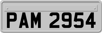 PAM2954