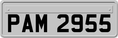 PAM2955