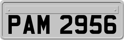 PAM2956