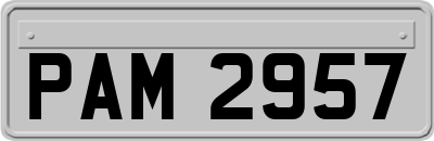 PAM2957