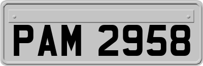 PAM2958
