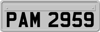 PAM2959