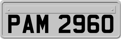 PAM2960