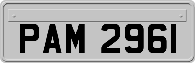 PAM2961