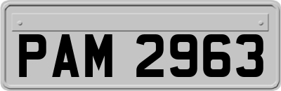 PAM2963