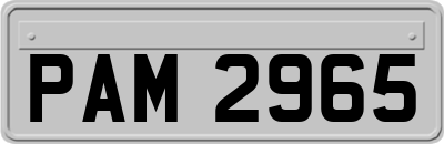 PAM2965