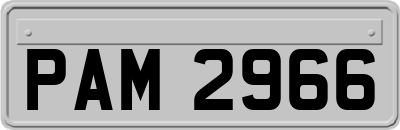 PAM2966