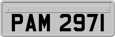 PAM2971