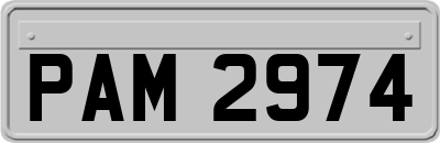 PAM2974