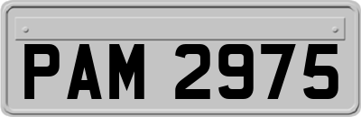 PAM2975