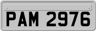 PAM2976