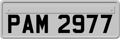 PAM2977