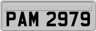 PAM2979